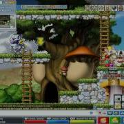 Online MapleSwitch 1000x 500x 2x