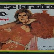 Neşe Karaböcek Demiyom Mu Boş Vermişim Elenor 1974