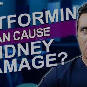 Metformin Damages Kidneys