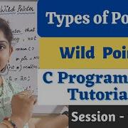 C 110 Types Of Pointers Wild Pointer Wildpointer Pointersinc Clanguage Logicflow