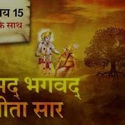 श र मद भगवत ग त स र अध य य 15 Shrimad Bhagawad Geeta With Narration Chapter 15 Shailendra Bhartti
