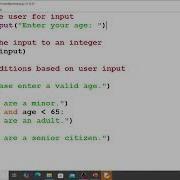 Taking Conditional Input From User In Python