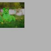 YOLOv8 Object Detection And Segmentation Using Rust