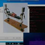 Wp Private Exploit Deally 100 200 Shell Free Bot