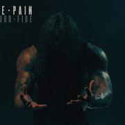 Born Through Fire Blood Fire Pain Official Music Video