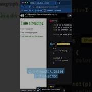 CSS Pseudo Classes Not Selector Css Coding Webdev Shorts