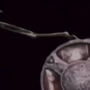 Skeleton Banging Shield