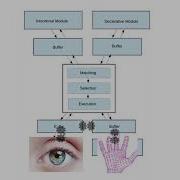 Intro To Cognitive Modeling