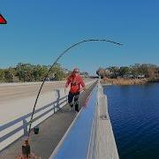 Catching Massive Fish From A Bridge For 2 Hours