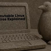 Immutable Linux Because Who Likes Accidental Breakage