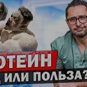 Реальный эффект от протеина Польза или вред мнение врача Виды и эффективность протеина