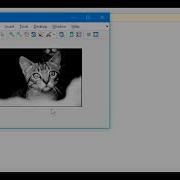 Application Of 2D Convolution Via MATLAB