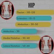 Hip S Capsular Pattern Resting Position Closed Packed Position A Therapist Guide