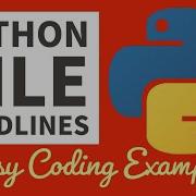 Python File Readlines Method ERROR HANDLING 2022