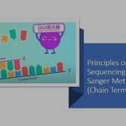 DNA Sequencing Sanger Method