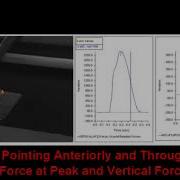 Midfoot Striker Ground Reaction Force Vector Analysis