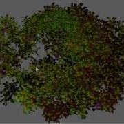 Realtime L System Trees 02