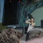Fully Alive At ACL Fest 2008