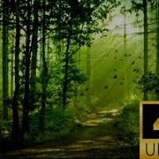 2 HOURS AMBIENTAL MUSIC GUSTAVO SANTAOLALLA ENDLESS FLIGHT BABEL SOUNDTRACK MUSIC FOR SLEEP
