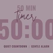 50 Minute Quiet Countdown Timer Gentle Alarm Aesthetic Pastel Pink