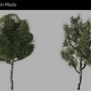 Modelling Trees In Modo