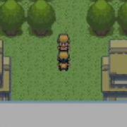 Pokemon Cintrine Script Error