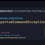 Org Openqa Selenium UnsupportedCommandException With Example