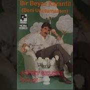 Ahmet Selçuk İlkan Bir Beyaz Karanfil