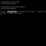 How To Write Quotes In Bash Scripting