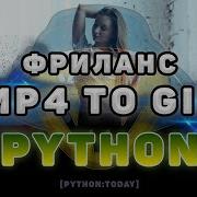 Практика Python Выполняем заказ на фрилансе Видео в GIF Mp4 To Gif