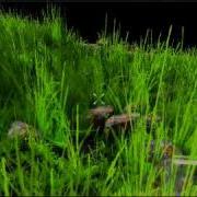 PhysX Test In UDK
