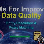 LLMs For Data Quality Entity Resolution Fuzzy Matching