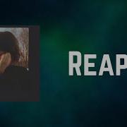 Clairo Reaper Lyrics