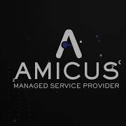 Amicus MSP IT Services Project Management Marketing Consulting