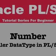 Number Data Type In Oracle Scaler Data Type