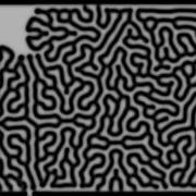 Reaction Diffusion Algorithm In Processing