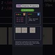 Display Property Display Block Display Inline Block Display Inline Display None