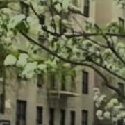 An Ode To Spring