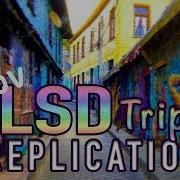 LSD Trip Simulation Replication Accurate POV