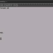 Shell Scripting Tutorial 52 The Break Statement