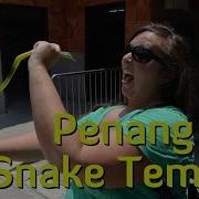 Snake Temple Penang