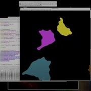 Automating Analysis With Fiji ImageJ