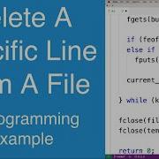 Delete A Specific Line From A File C Programming Example