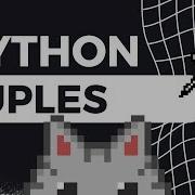 Python Tuples Won T Bail On You