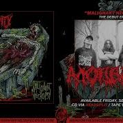 MORBIDITY MALIGNANT NECROPSY Iron Fortress Records
