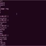 IOPORTS And DMA Files On Linux