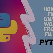 How To Find Unique Words Names From A Text File In Python Codinity