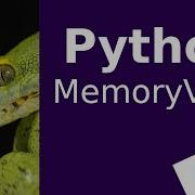 Python MemoryView