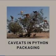 Domen Kožar The Sorry State Of Python Packaging And How It Reflects In Nix