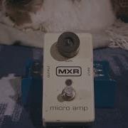 MXR M133 Micro Amp обзор и применение с гитарой обзор с котом
